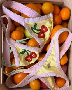 Nude Project Coralite Bikini Top Outlet