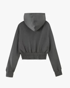 Nude Project Typa Day Cropped Hoodie Ash Sale